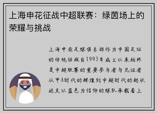 上海申花征战中超联赛：绿茵场上的荣耀与挑战